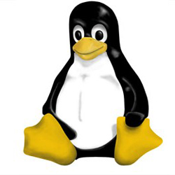 Microsoft сделала серьезный вклад в разработку Linux