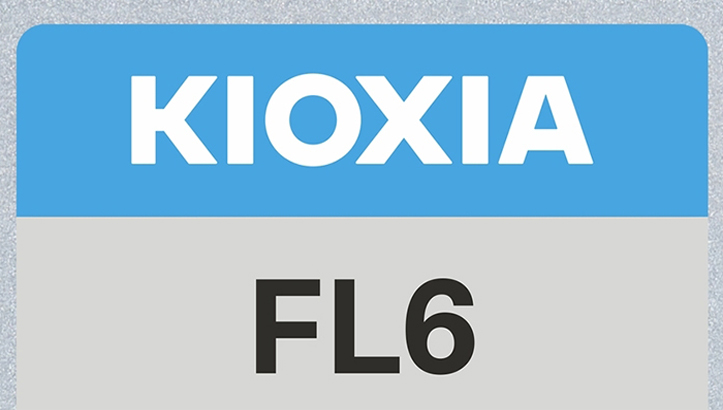 Kioxia FL6